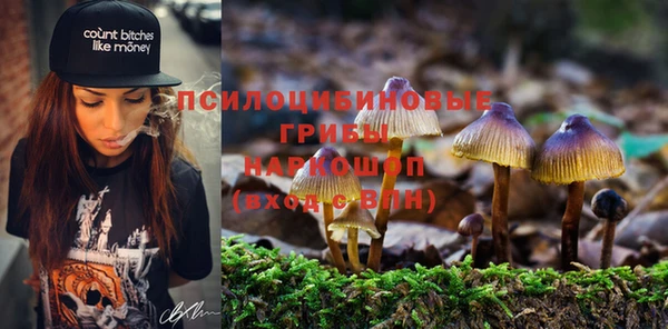 марки nbome Балабаново