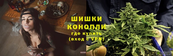 ешки Новокубанск
